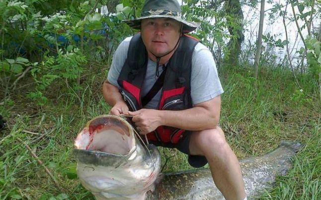 Pestele cat autobuzul care traieste in Dunare. 